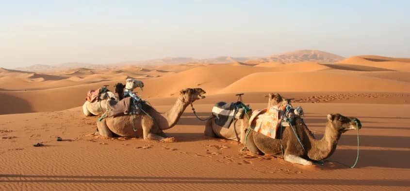 Morocco sand dunes: Erg Chegaga or Erg Chebbi
