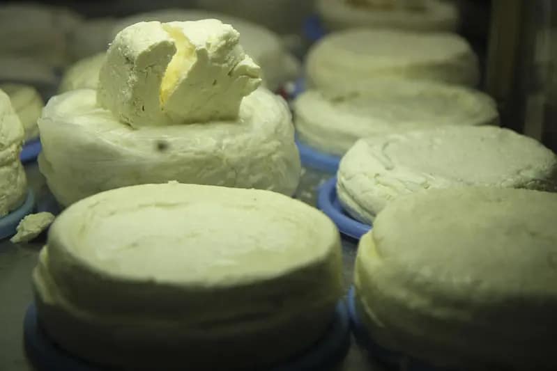Chefchaouen’s Authentic Goat Cheese