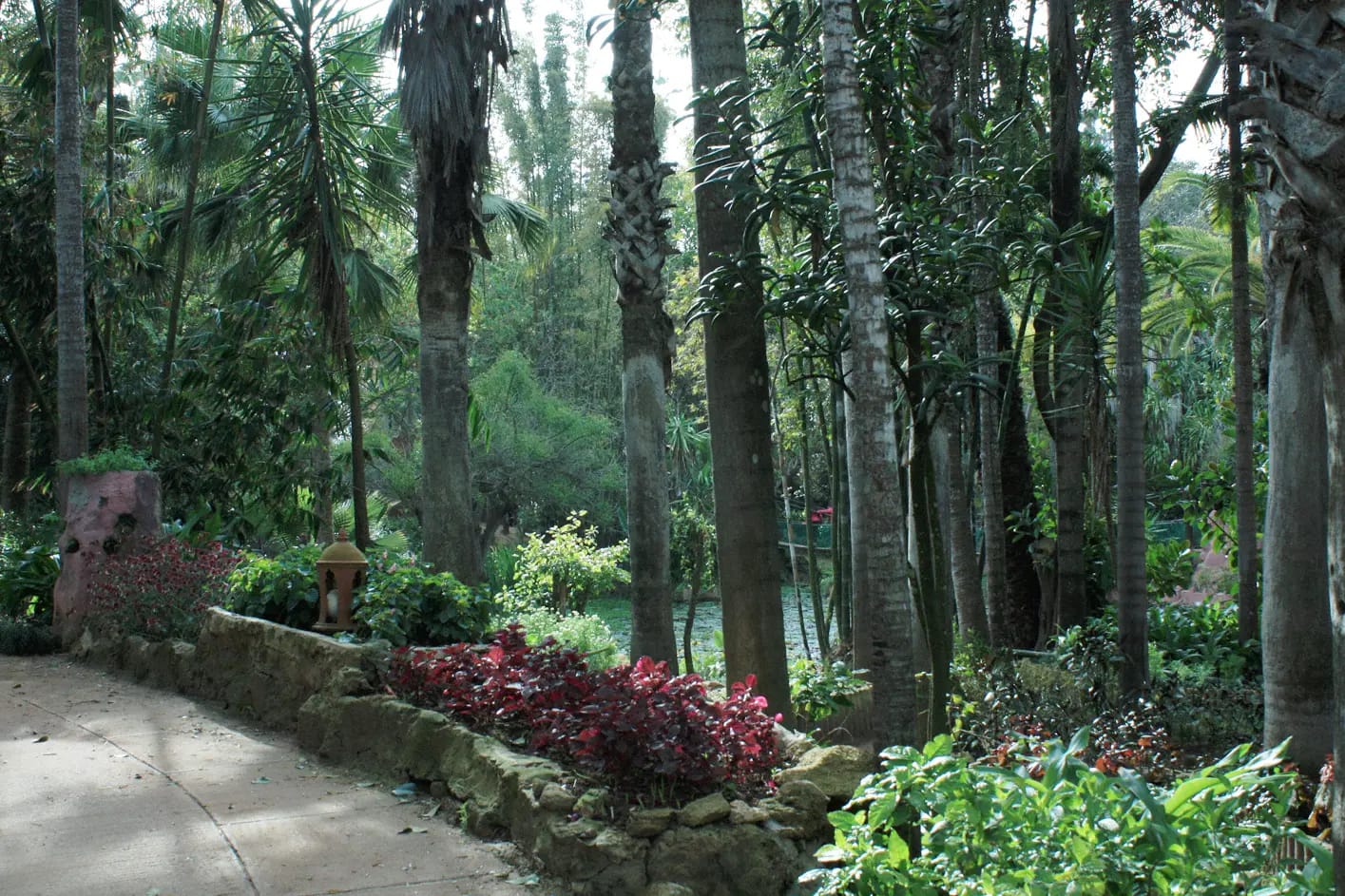 Botanical Garden rabat