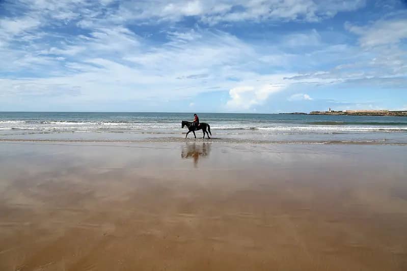 Horse Riding