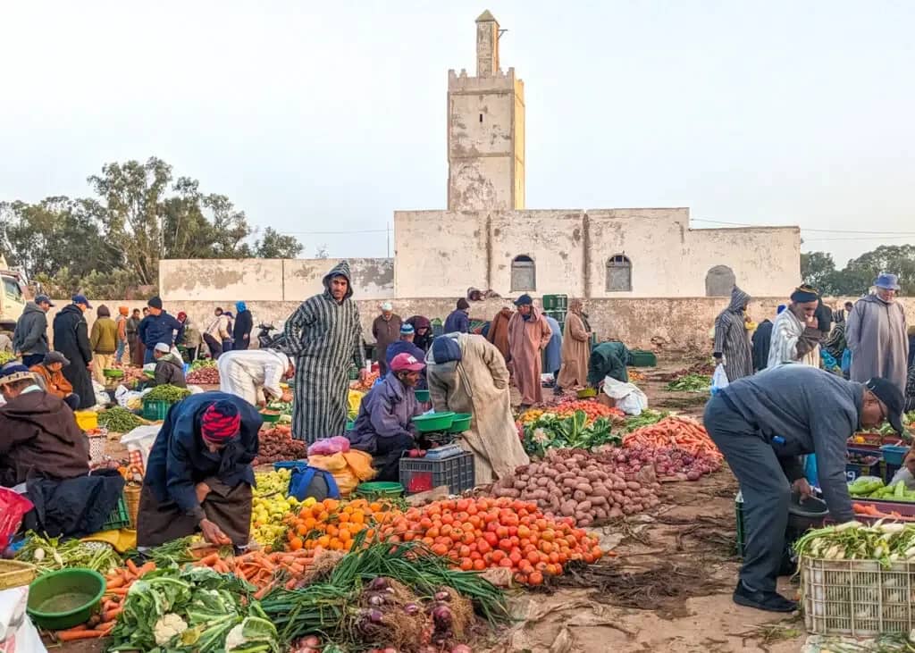 Ida Ougourd Market